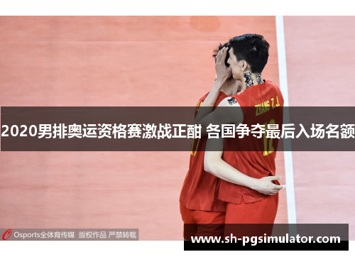 2020男排奥运资格赛激战正酣 各国争夺最后入场名额